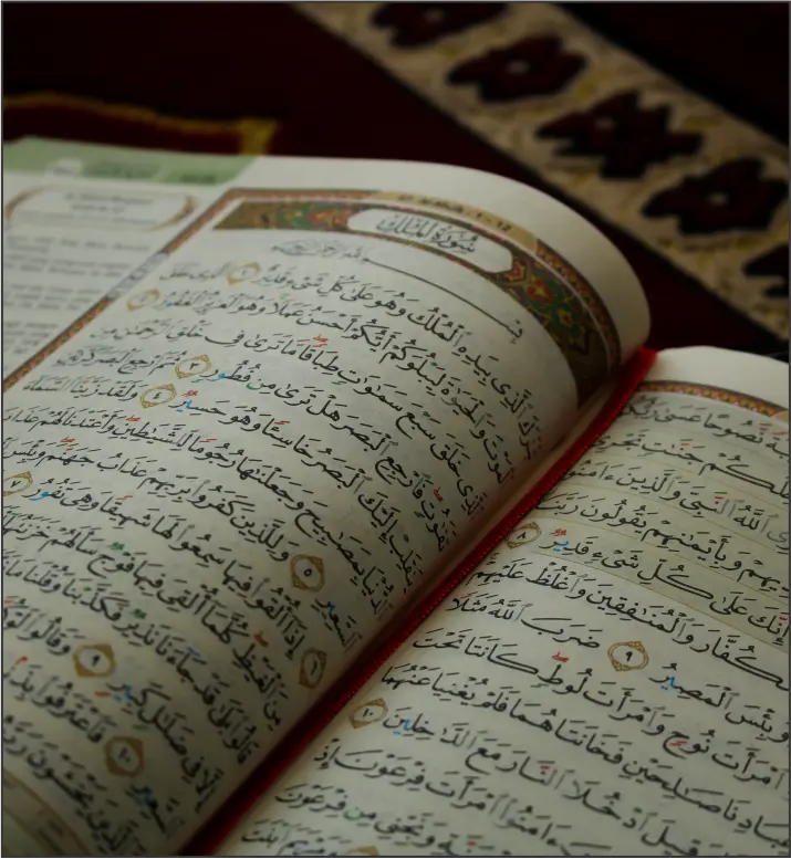 Quran open to surah mulk representing growth in Arabic grammar knowledge.