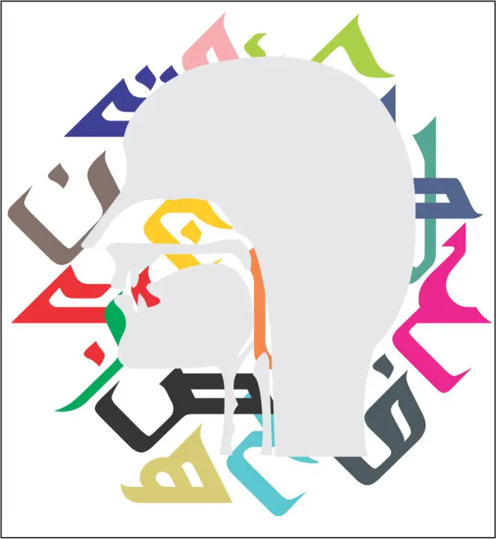 Image depicting the articulation points of the mouth for correct pronunciation taught in the tajweed course